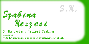 szabina meszesi business card